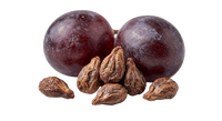 Huile de Pépin de raisin