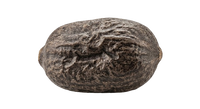 Huile de Jojoba